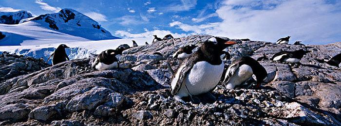 暴雪愿意开发《星际争霸》新作 但可能不是RTS